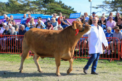 Royal Manx Agricultural Show 2024. Photo by Callum Staley (CJS Photography)