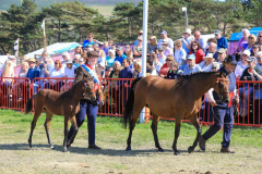 Royal Manx Agricultural Show 2024. Photo by Callum Staley (CJS Photography)