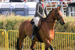 Royal Manx Agricultural Show 2024. Photo by Callum Staley (CJS Photography)