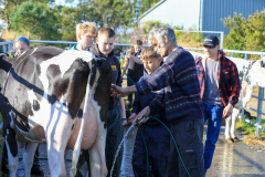 Royal Manx Agricultural Show 2024. Photo by Callum Staley (CJS Photography)