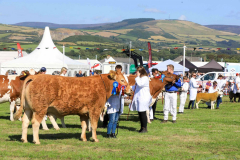 Royal Manx Agricultural Show 2024. Photo by Callum Staley (CJS Photography)
