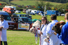 Royal Manx Agricultural Show 2024. Photo by Callum Staley (CJS Photography)