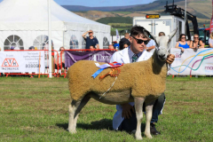Royal Manx Agricultural Show 2024. Photo by Callum Staley (CJS Photography)