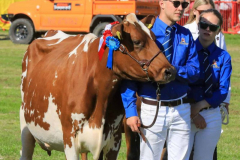 Royal Manx Agricultural Show 2024. Photo by Callum Staley (CJS Photography)
