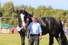 Royal Manx Agricultural Show 2024. Photo by Callum Staley (CJS Photography)