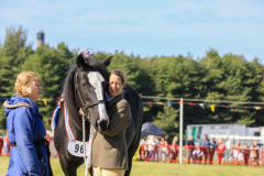Royal Manx Agricultural Show 2024. Photo by Callum Staley (CJS Photography)