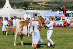 Royal Manx Agricultural Show 2024. Photo by Callum Staley (CJS Photography)