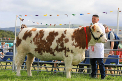 Royal Manx Agricultural Show 2024. Photo by Callum Staley (CJS Photography)