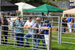 Royal Manx Agricultural Show 2024. Photo by Callum Staley (CJS Photography)