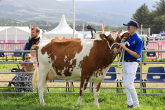 Royal Manx Agricultural Show 2024. Photo by Callum Staley (CJS Photography)