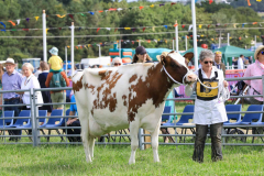 Royal Manx Agricultural Show 2024. Photo by Callum Staley (CJS Photography)