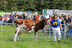 Royal Manx Agricultural Show 2024. Photo by Callum Staley (CJS Photography)