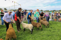 Royal Manx Agricultural Show 2024. Photo by Callum Staley (CJS Photography)